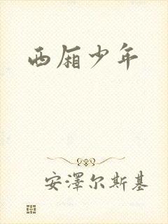 西厢少年
