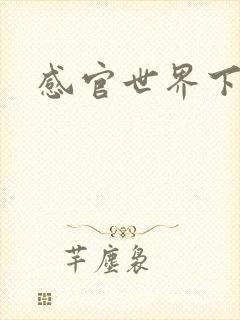 感官世界下载