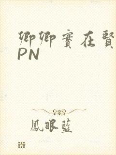 卿卿实在贤良NPN