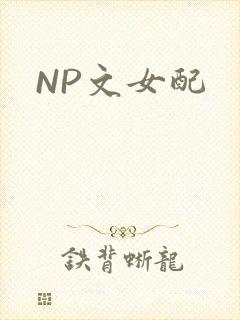 NP文女配