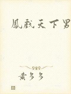 凤戏天下男