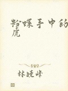 粉蝶手中的纸老虎