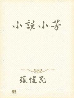 小说小芳