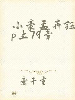 小豪孟卉钰慧三p上79章