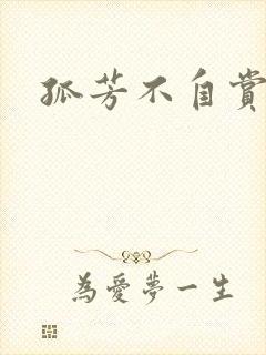 孤芳不自赏小说