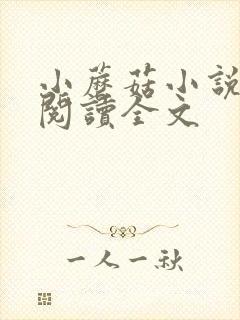 小蘑菇小说免费阅读全文