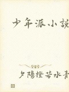 少年派小说