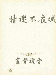 情迷不夜城