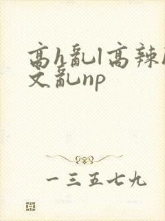 高h乱l高辣h文乱np