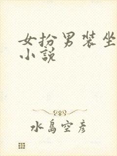 女扮男装坐江山小说