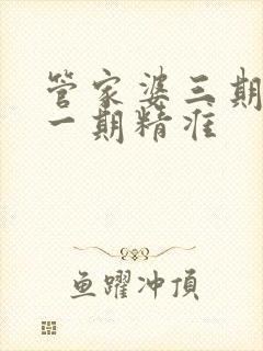 管家婆三期必开一期精准