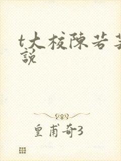 t大校陈若芸小说