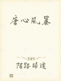 唐心风暴