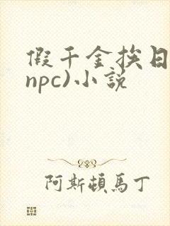 假千金挨日记(npc)小说