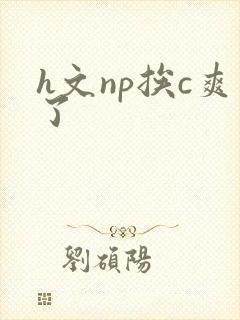 h文np挨c爽了