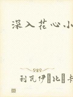 深入花心小说