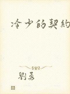 冷少的契约囚奴