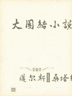 大团结小说下载