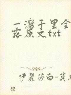 一泻千里金银花露原文txt