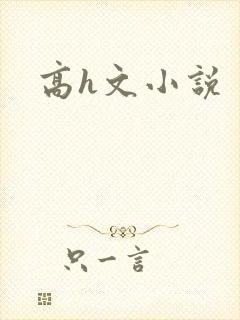 高h文小说