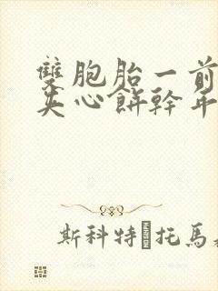 双胞胎一前一后夹心饼干年下