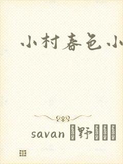 小村春色小说