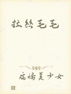 拉丝毛毛