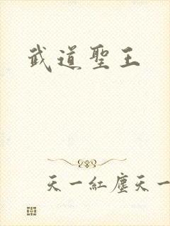 武道圣王