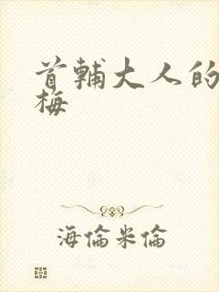 首辅大人的小青梅