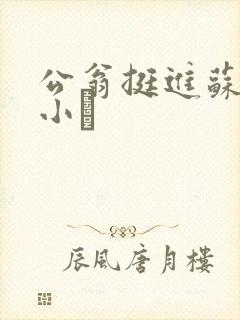 公翁挺进苏玥的小泬