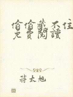 偷偷藏不住小说免费阅读