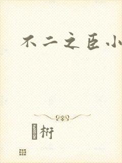 不二之臣小说