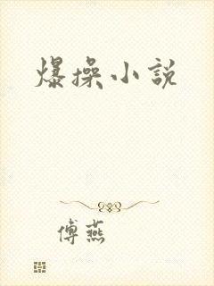 爆操小说
