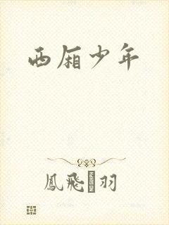 西厢少年