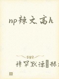 np辣文高h