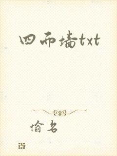 四面墙txt