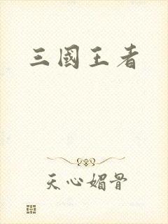 三国王者
