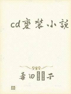 cd变装小说