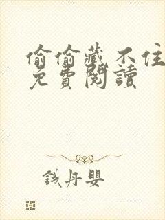 偷偷藏不住小说免费阅读