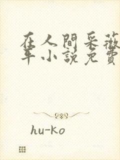 在人间采薇陆三平小说免费阅读