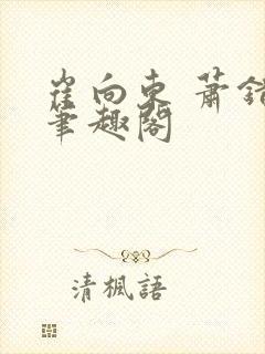 崔向东 萧错 笔趣阁