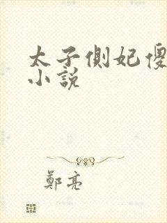 太子侧妃傻乎乎小说