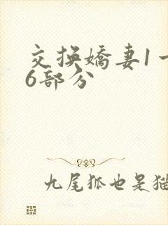 交换娇妻1一36部分