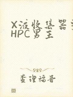 X液收集器系统HPC男主