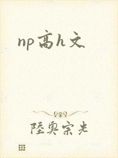 np高h文