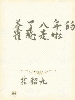 养了八年的金丝雀飞走啦