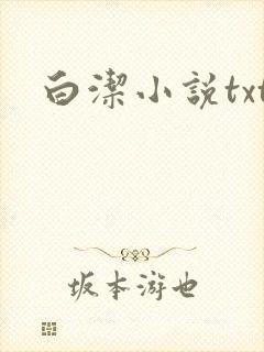白洁小说txt