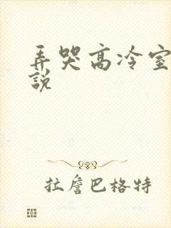 弄哭高冷室友小说
