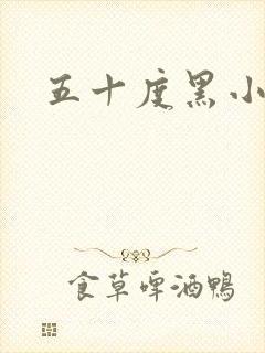 五十度黑小说