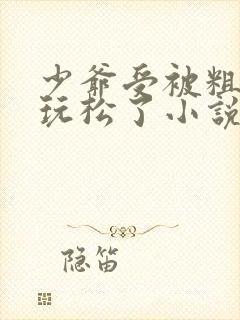 少爷受被粗汉H玩松了小说